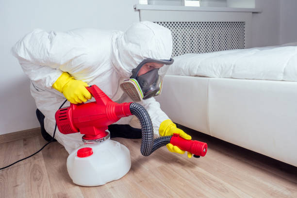Best Commercial Pest Control Services  in Brewerton, NY