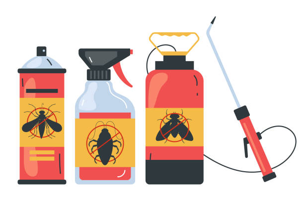 Trusted Brewerton, NY Pest Control Experts