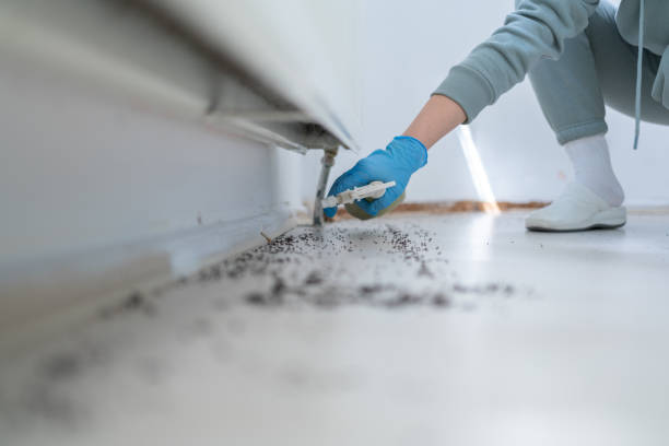 Best Emergency Pest Control  in Brewerton, NY